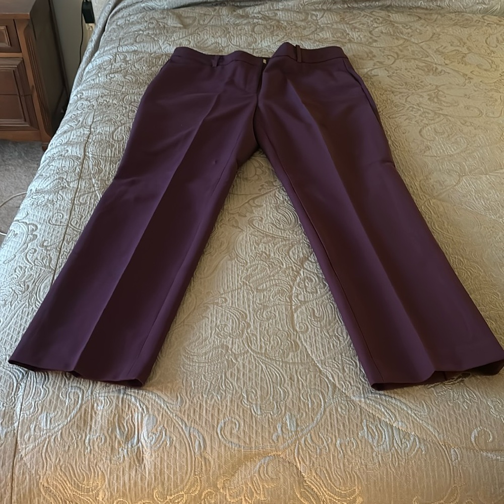 Women’s Chicos pants size 2.5 deep purple color EUC